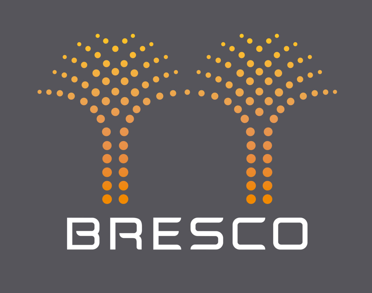 Bresco_Deg_Pan_V_Neg